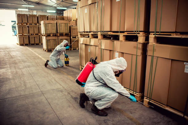 Trusted Greenfield, OH Pest Control Experts