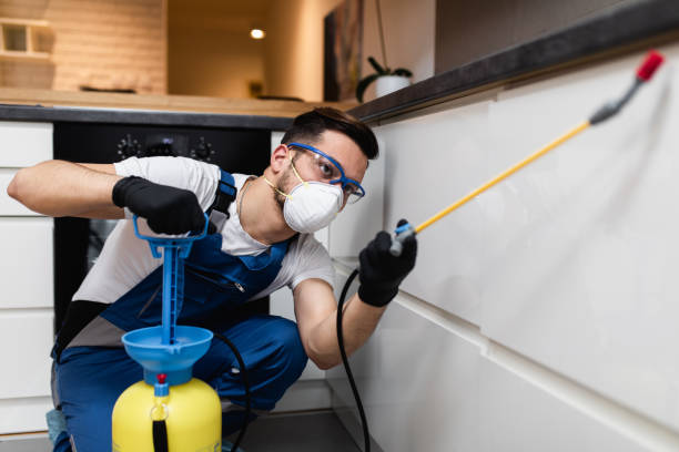 Best Termite Control Services  in Greenfield, OH