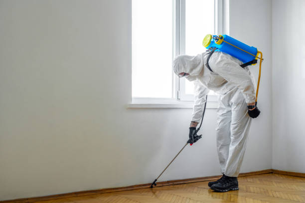 Best Local Pest Control Services  in Greenfield, OH